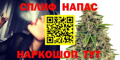 дживик Тара