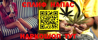 дживик Тара