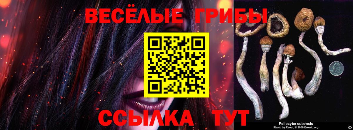 Отрадное  Псилоцибиновые грибы Magic Shrooms  Вход с VPN  Псилоцибиновые грибы GOLDEN TEACHER 